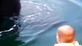 MELIHAT IKAN PAUS TERBESAR DARI DEKAT - HARIES SYAIFUDIN.