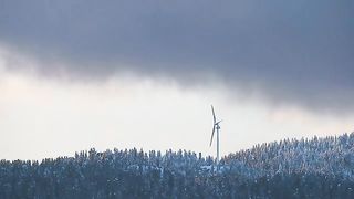 Nature videos 5