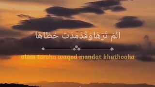 Salawat Alam tarro yang lagi viral!