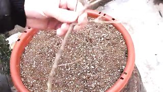 DIY Natural #shorts #DIY #Reels (10)_cut