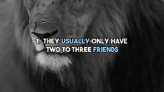 11 Psychology facts about quiet People