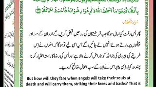 اسلامی معلومات Like share follow 334