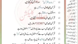 اسلامی معلومات Like share follow 336