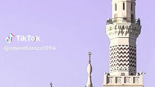 video 311