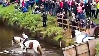 Equine Blunders