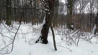 Nature videos 10