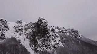 Nature videos 11