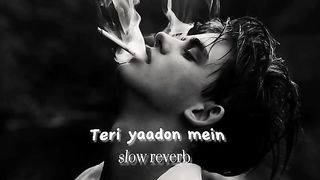 Teri yadoon mein