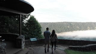 "Enchanting Wilderness: Embracing the Majesty of Mother Earth"