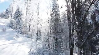 Nature videos 12
