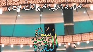 Beautiful video quran hadees..aayat no 136. plz subscribe and watch my video -Razzaq5