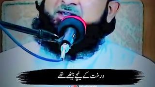 Hazrat Sayyadna Siddiq e Akbar ❤️