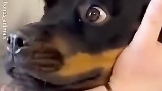 Video funny 42