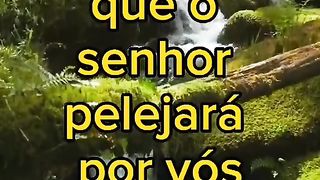 Exôdo 14: 14