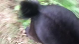 Cute got baby