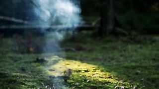 Best video 114