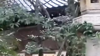 ЗЕМЕТРЕСЕНИЕТО В ЯПОНИЯ