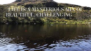 Quotes of the day #69