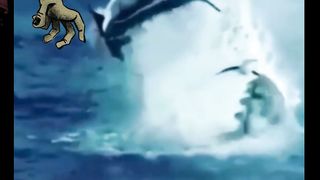 Encontro Épico com o Gigante dos Mares!