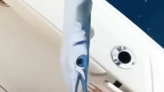 Memes 87