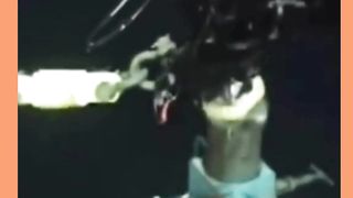 Câmera Aquática Registra Criatura Gigante nas Profundezas do Oceano!