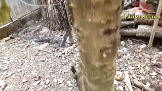 HOW TO MAKE AN ORANGE TREE FRUIT QUICKLY #Part 2