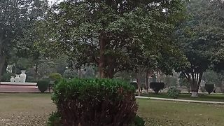 An eye-catching nature and beauty view for yoga