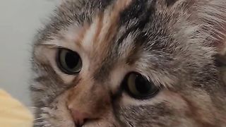 Mom i want to eat please
