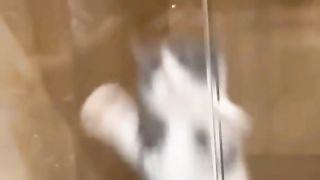 kamu kok gemesin siiiihhh...