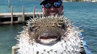 Amazing videos vol 218