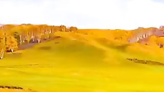 A picturesque p