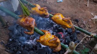 Grilling four native chickens to celebrate the new year with my family! _ HAPPY NEW YEAR EVERYONE!