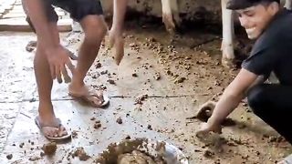 انڈیا کے ہندووں کی اصلیت اس ویڈیو میں دیکھ لیں