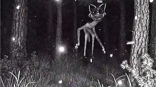 Strange creature caught on trail camera #shorts #creepy #scary #spooky.