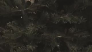 Someone is in my Christmas tree ???? #shorts #horror #christmas.