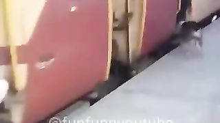 New_Recruitment_in_Railway_????#shorts_#funny_#dub(360p).