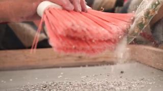 Why Tiny Cactus Bugs In Red Food Dye Are A $35 Billion Industry _ Big Business _ Insider Business