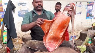 KASIMEDU ???? SPEED SELVAM _ INTERESTING _ BIG SQUID ???? CUTTING _ 4K VIDEO _ IN KASIMEDU _ FF CUTTING