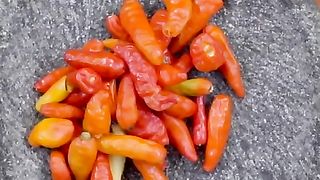 Aneka sambal