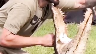 Funny action 58