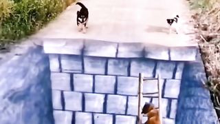Funny action 59