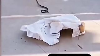 Funny action 60