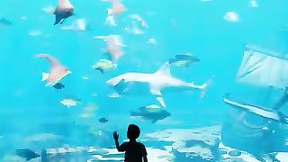 Definitely dangerous place 4