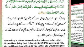 اسلامی معلومات Like share follow 356