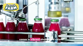 INCREDIBLE Dragon Fruit Harvesting And Production _ Cultivation and Pitaya Juice Process in Factory