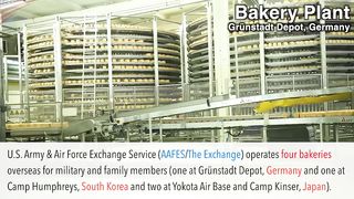 US Military's Huge Overseas Bakery Factory ???? for Servicemen & Families Across Europe