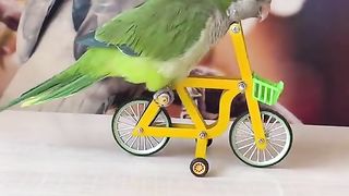 How to get girl fitness center to make funny to me Bethe hai