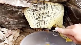 How to make growing ???? amazing honey ????❤️ to get a new