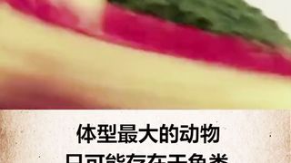 龙真的存在吗？