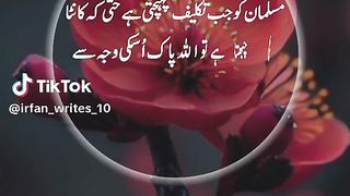 Hazrat Ali quotes in Urdu 141